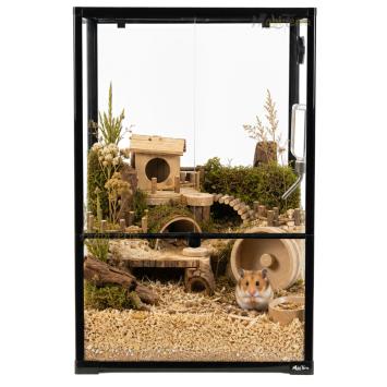 Glazen terrarium met hoge onderrand