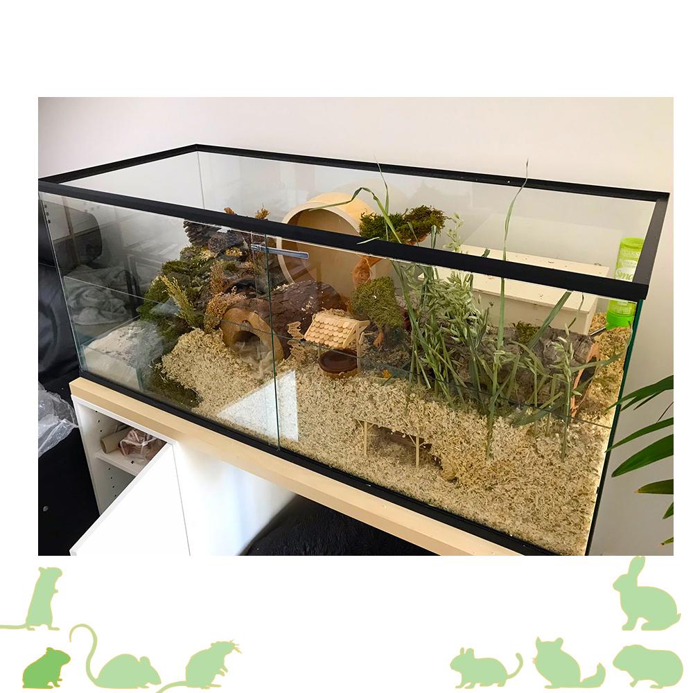 Terrarium voor hamster met schuifruiten zonder plateaus - vast voorschot