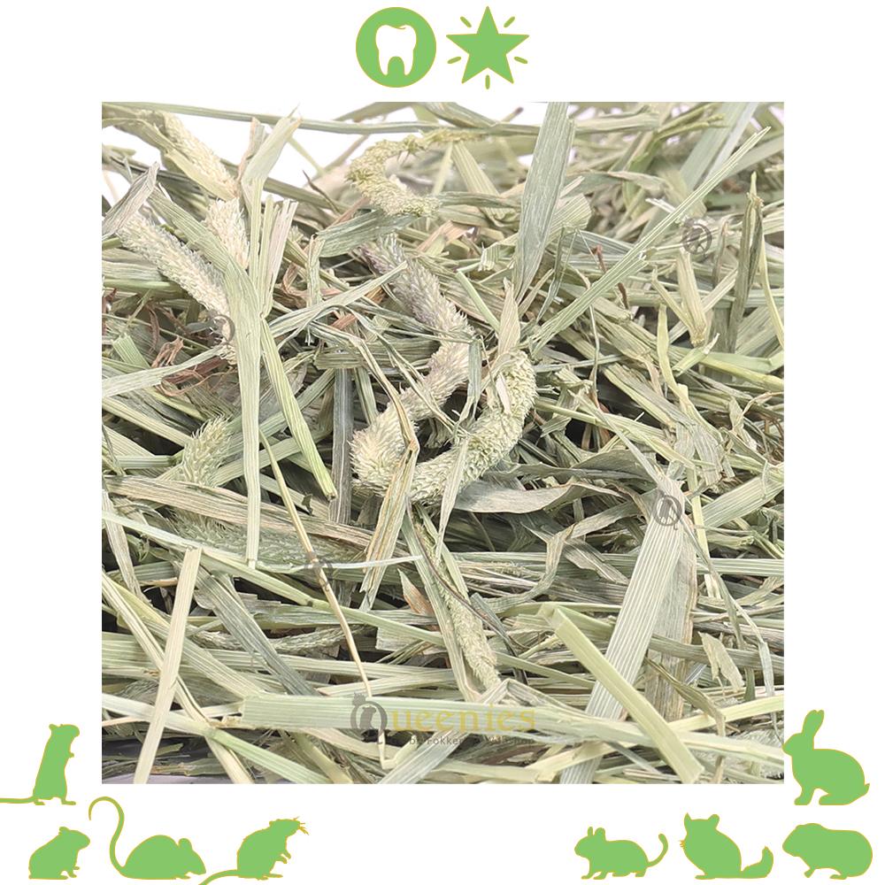 Goedkoper alternatief voor selectieve Timothy hay van supreme