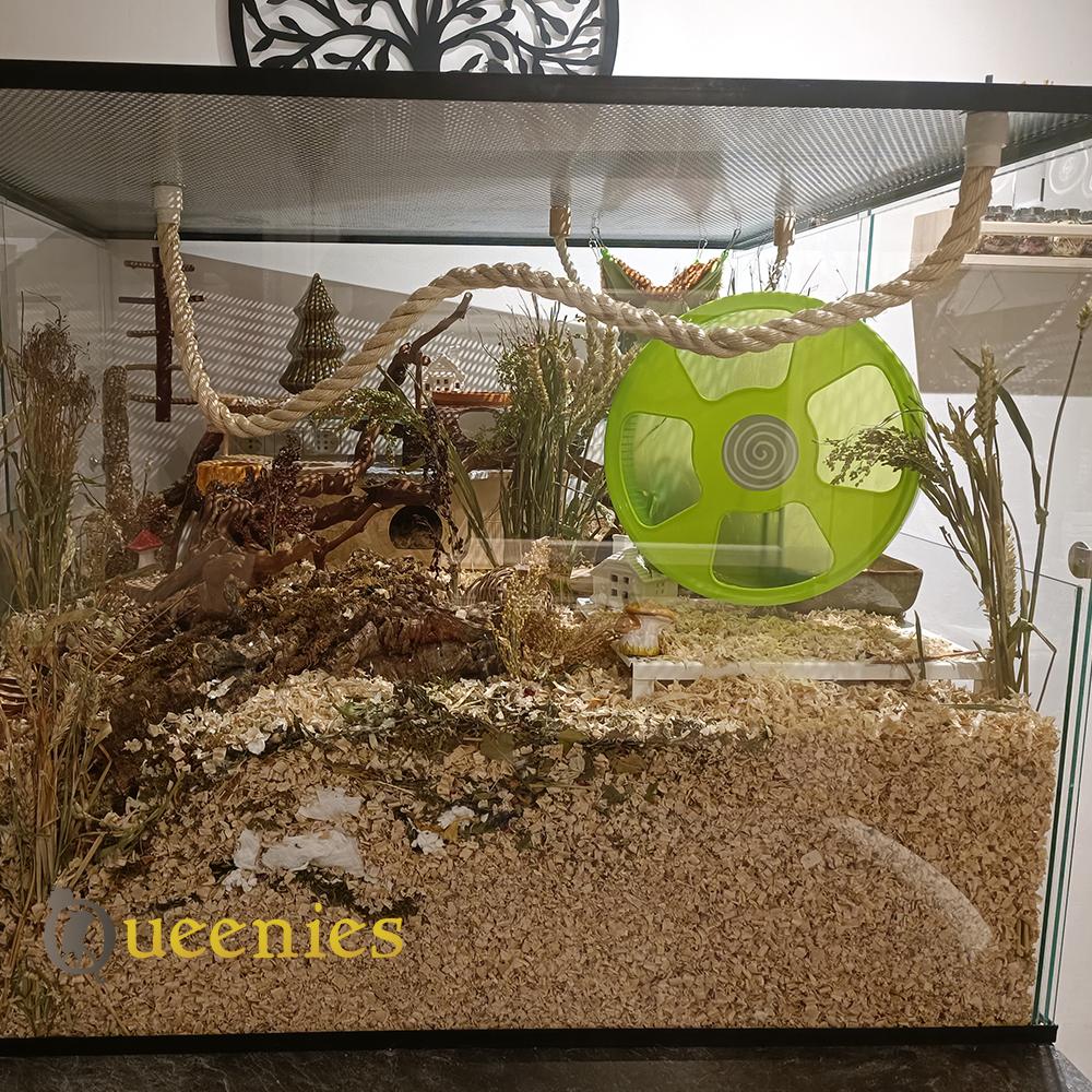 Touw zitstok voor Gerbils