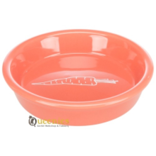 Keramische voerbak of waterschaal voor Chinchilla