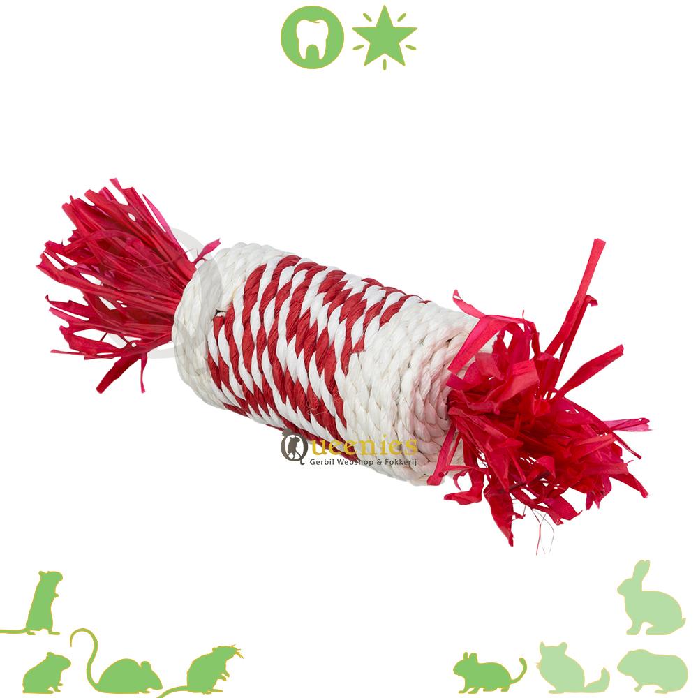Kerst Speelrol voor Knaagdieren en Konijnen