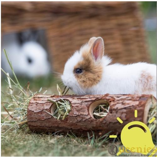 Gevulde boomstam met hooi voor knaagdieren tunnel 30 cm