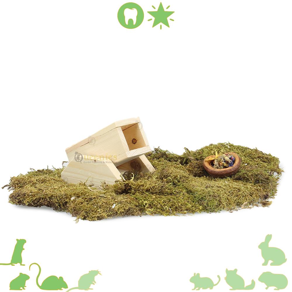 Natuurlijk houten Tunnelhuisje voor hamsters en gerbils