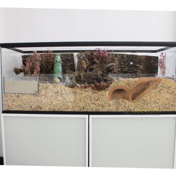 Tweedehands hamster terrarium 100x40x40 cm inclusief volledige inrichting