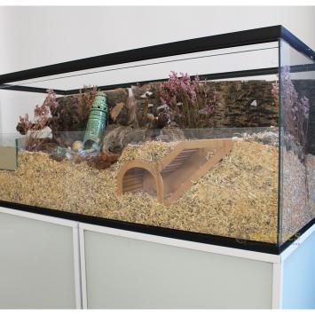 Gebruikt hamster terrarium 100x40x40 met gaasdeksel en inrichting