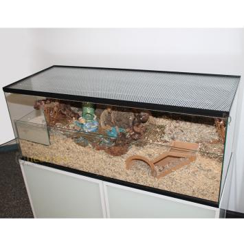 Glazen hamster terrarium met schuifruiten en diepe bodembedekking tweedehands