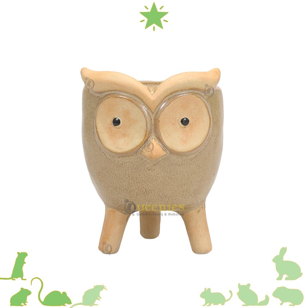 Schattige uilen voerbak