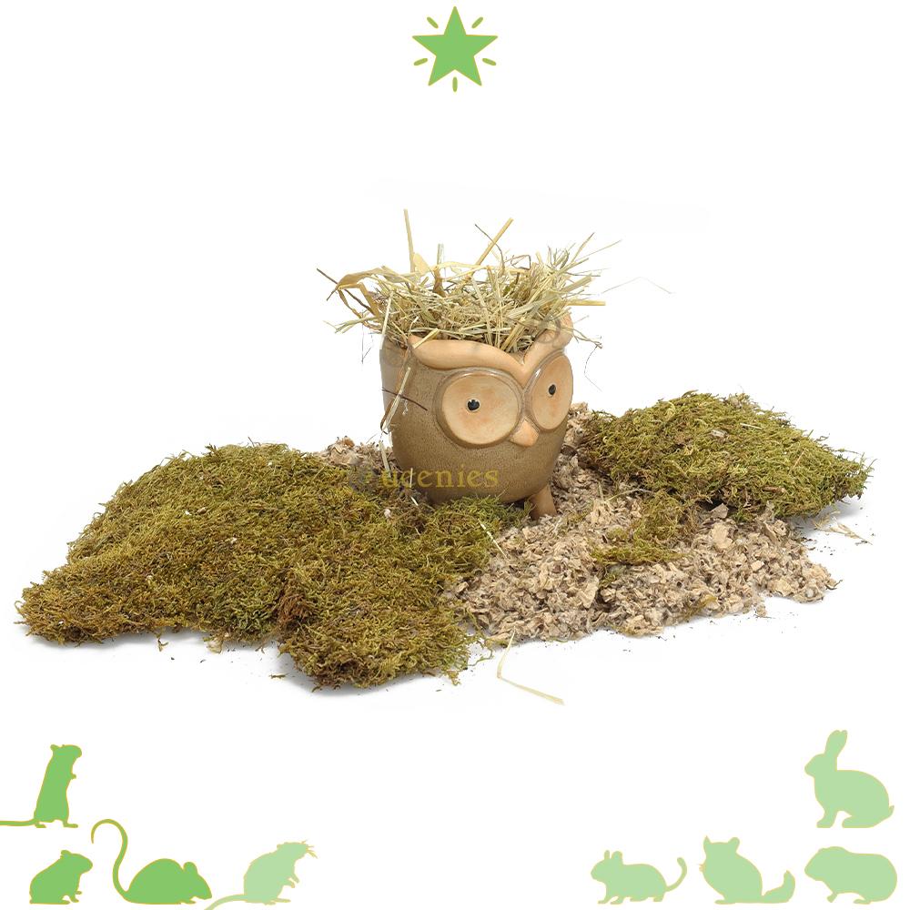 Keramische voerbak uil