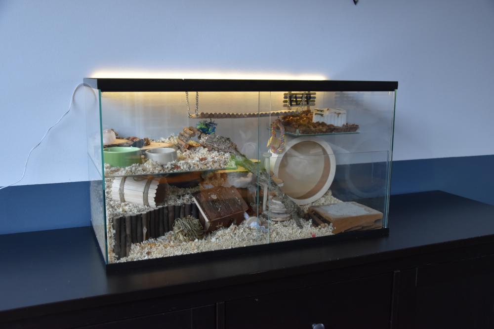 Gerbilarium met vast voorschot en schuifruit van bodem tot deksel