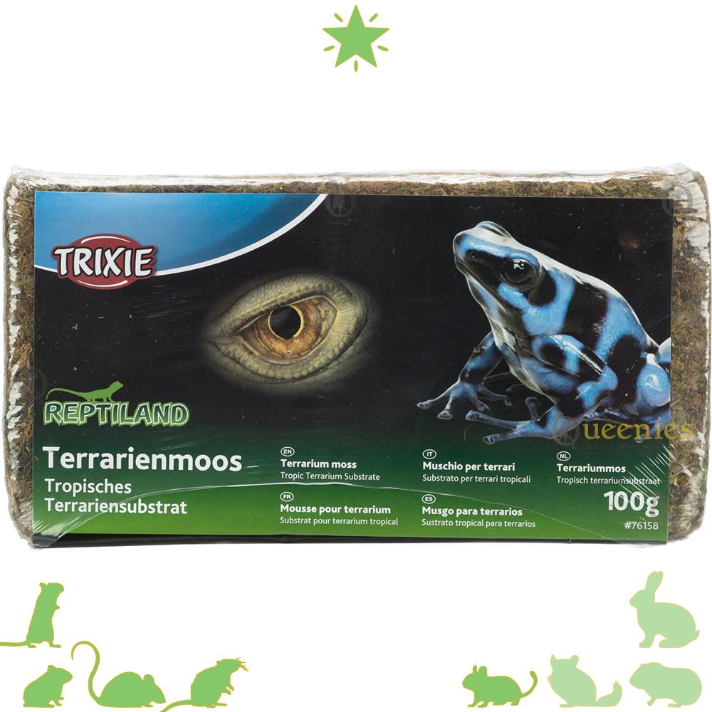 Veenmos voor Terrariums