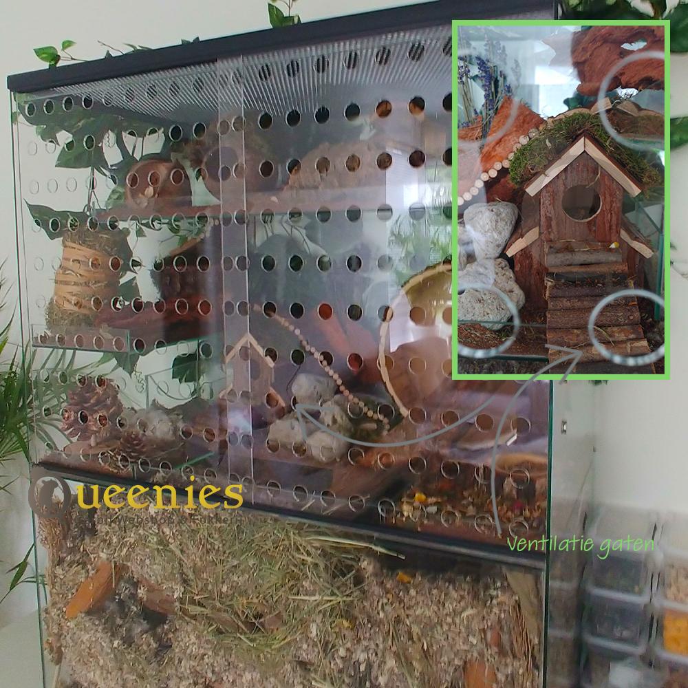 Ventileerbare schuifruiten Knaagdieren Terrarium