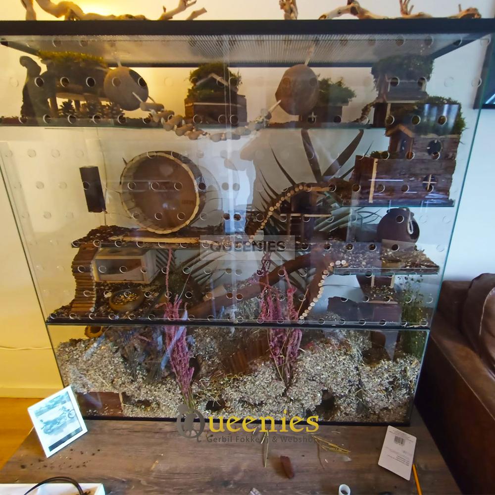 Ventilatie schuifruiten hamster terrarium