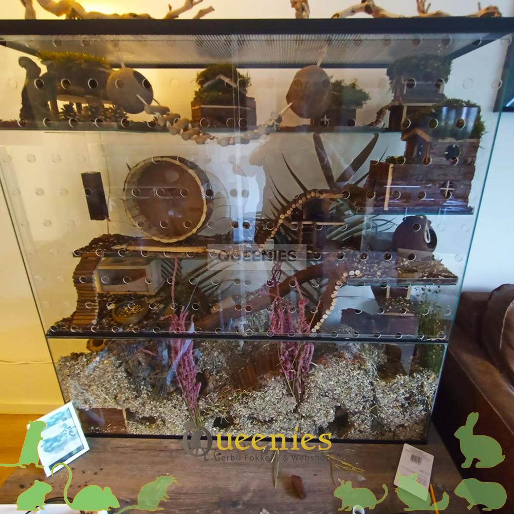 ventileerbare schuifruiten voor Gerbilarium