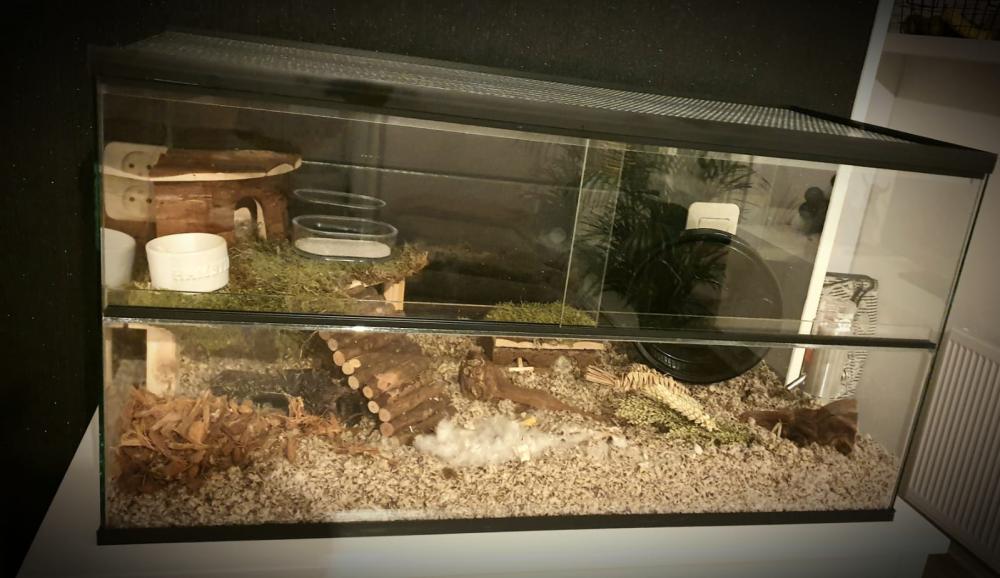 80x30x40 dwerghamster kooi met schuifruiten zonder plateaus