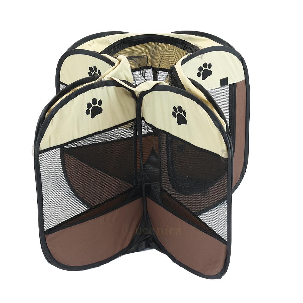 Speelren voor kittens en katten