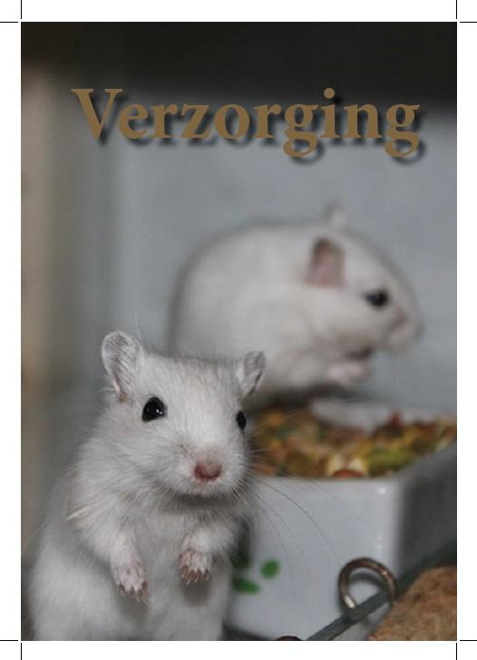 Gerbil informatie boekje