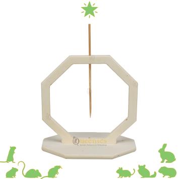 Groentespies voor cavia