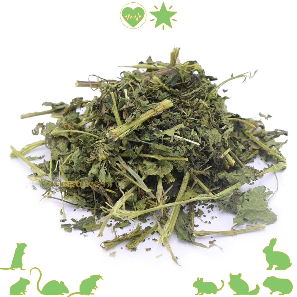 Brandnetel Kruid voor Knaagdieren