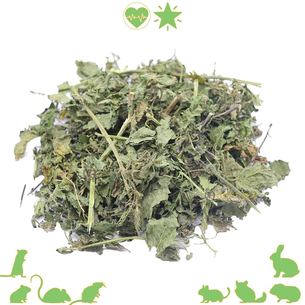 Alternatieve geneeswijze Knaagdier en Konijn