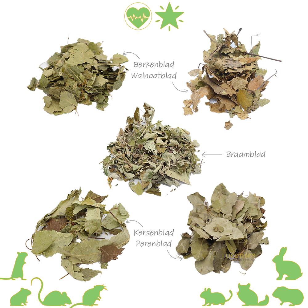 Gedroogde fruitboom bladeren voor Gerbils en Hamsters of andere Knaagdieren en Konijnen