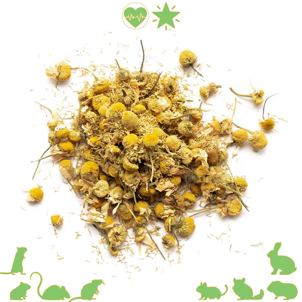 Gedroogde Kamille bloemen voor knaagdieren