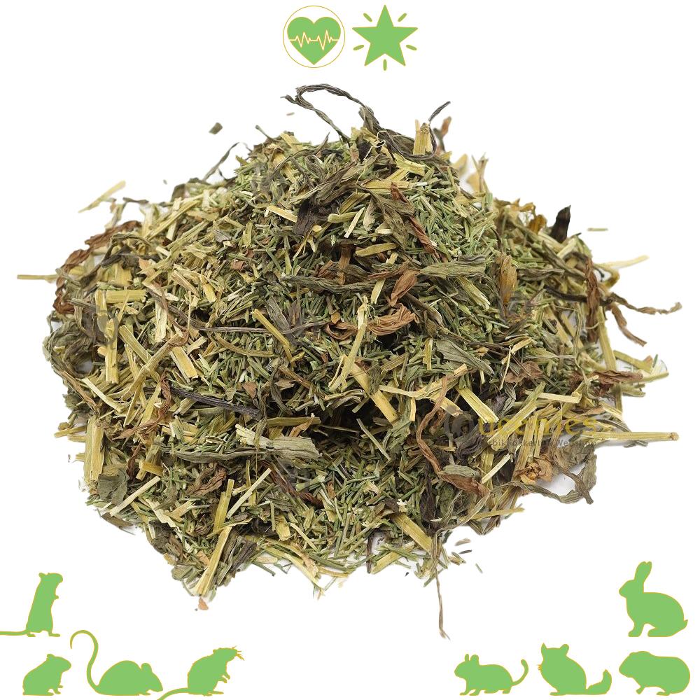 Groene Gezondheid Mix Knaagdieren