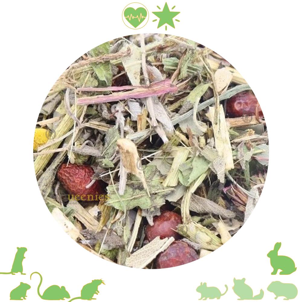 Herfst mix voor knaagdieren 100 gram