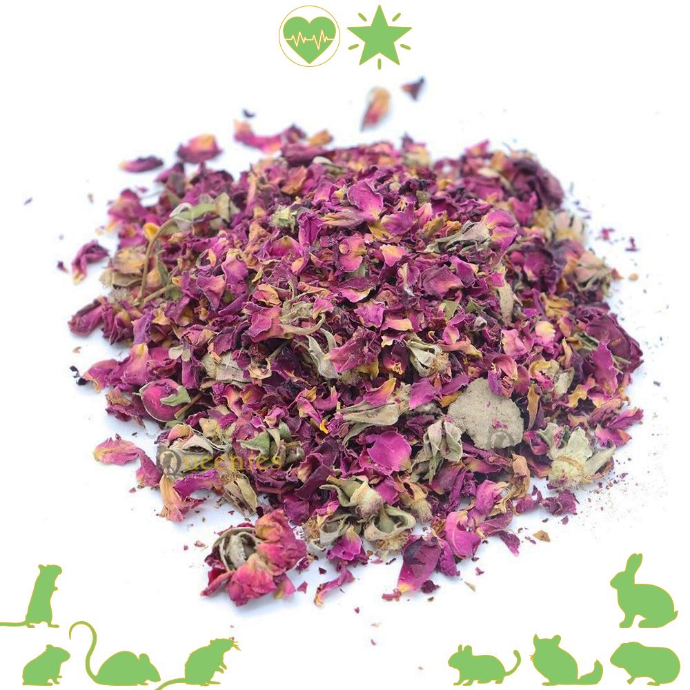 Gedroogde Rode Rozenbloemen voor Hamsterscaping