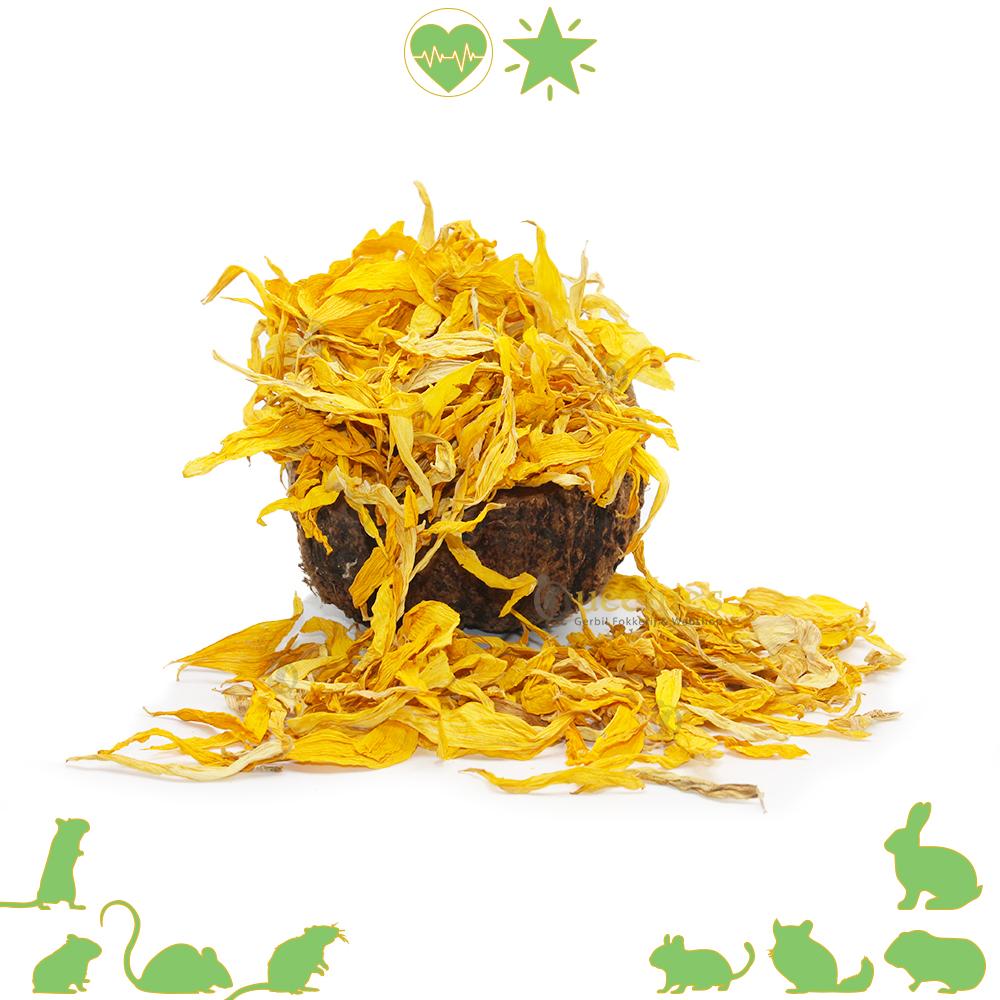 Gedroogde zonnebloembladeren