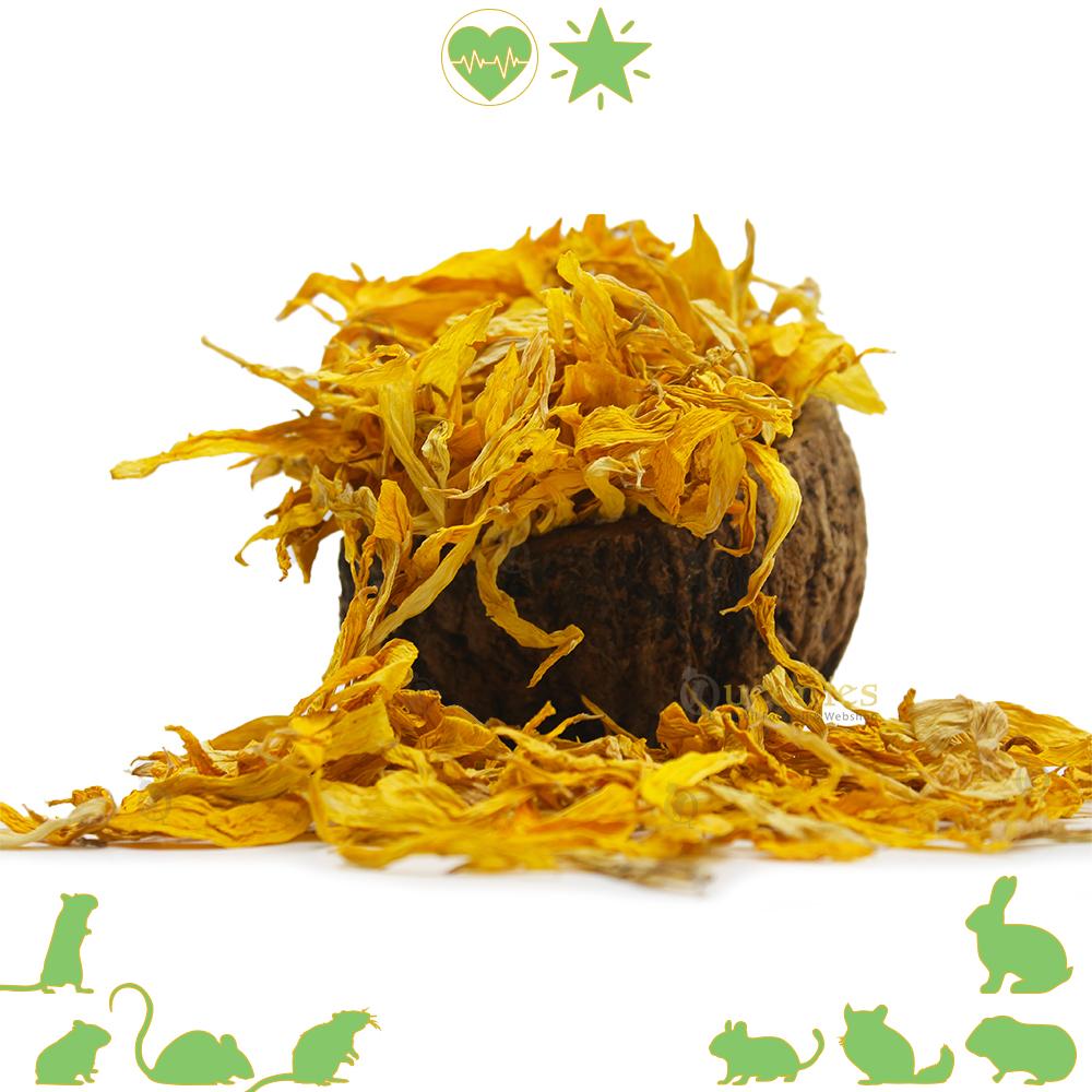 Gedroogde zonnebloem blaadjes