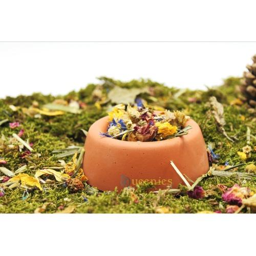 Terracotta eetbak voor hamsterscaping