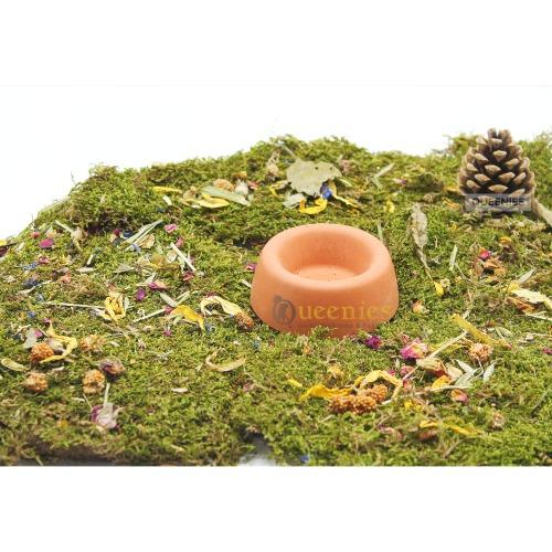 Natuurlijk ogende voerschaal voor Gerbils