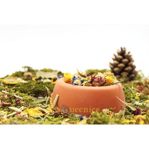 Voer of waterschaal met natuurlijke uitstraling voor muisjes