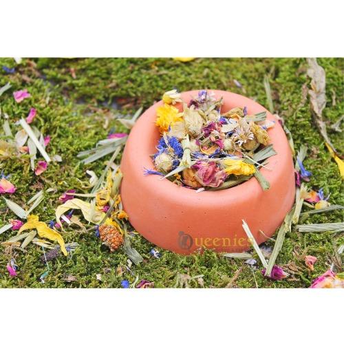 Voer of waterschaal met natuurlijke uitstraling voor dwerghamster