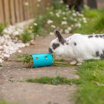 Voerdispenser roller voor dwergkonijnen in verblijf