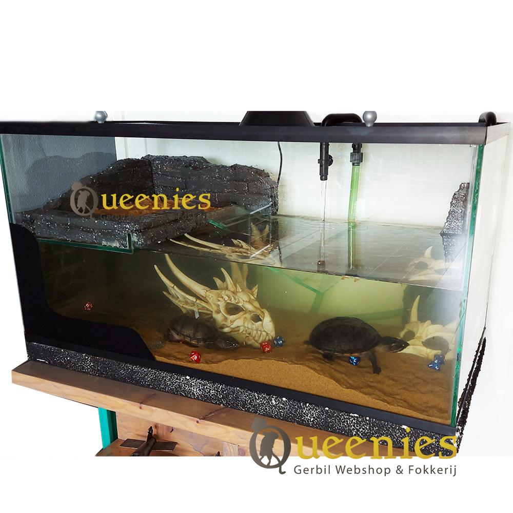 Waterschildpaddenbak ook voor landschildpadden