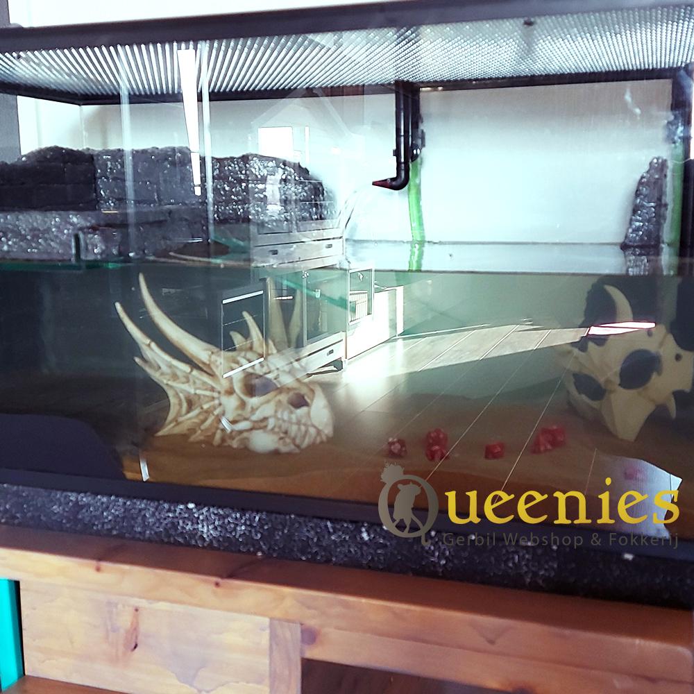 Waterschildpadden terrarium ook voor Landschildpadden