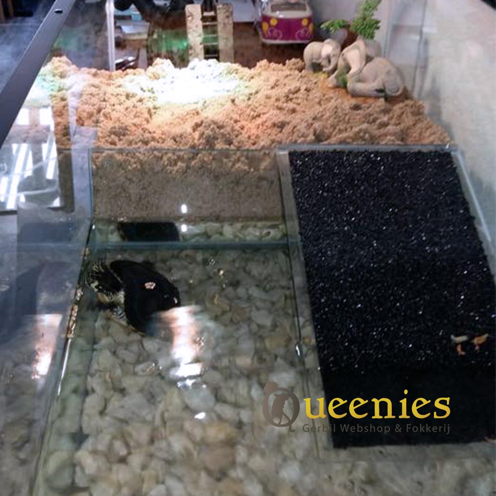 Schildpadden terrarium