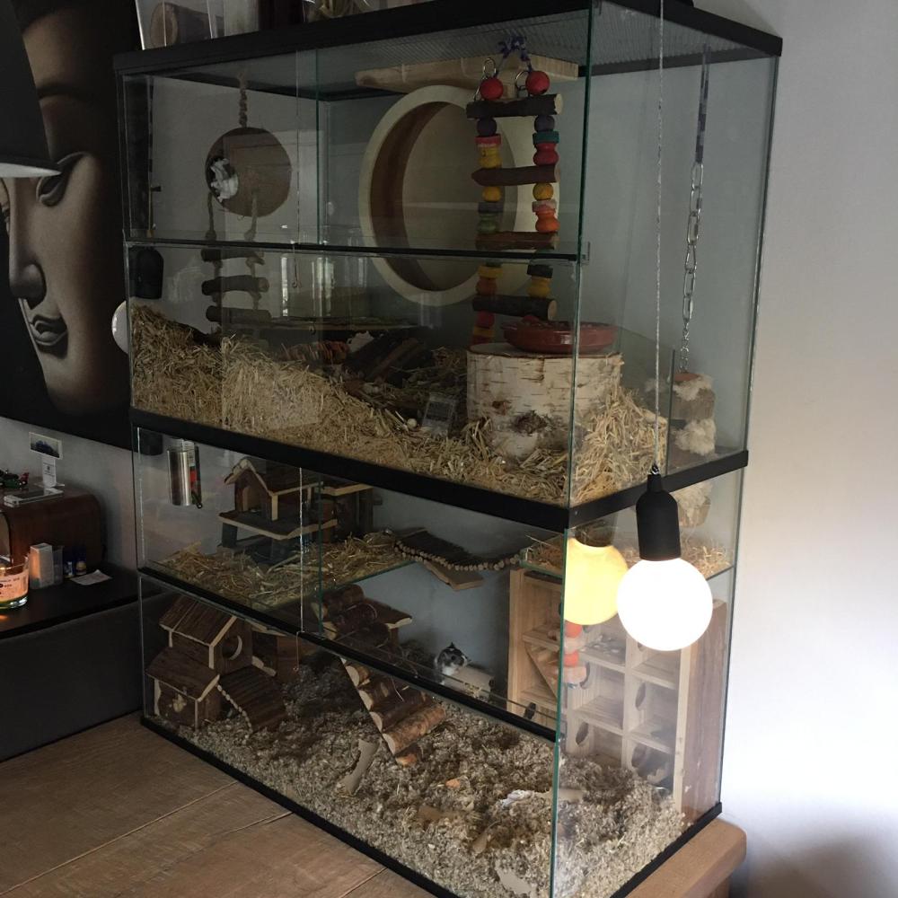 Opzetstuk met schuifruiten en plateaus