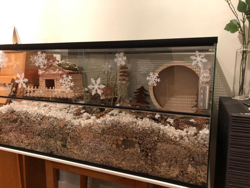 100x30x40 hamsterkooi met schuifruiten zonder plateaus