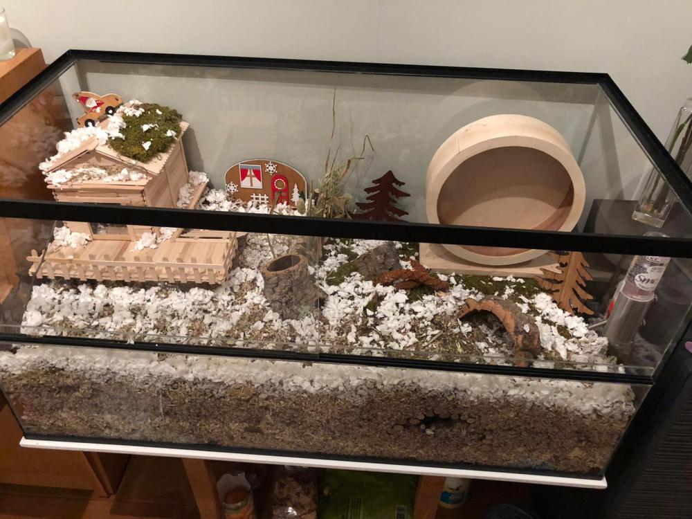 100x30x40 hamsterkooi met schuifruiten zonder plateaus