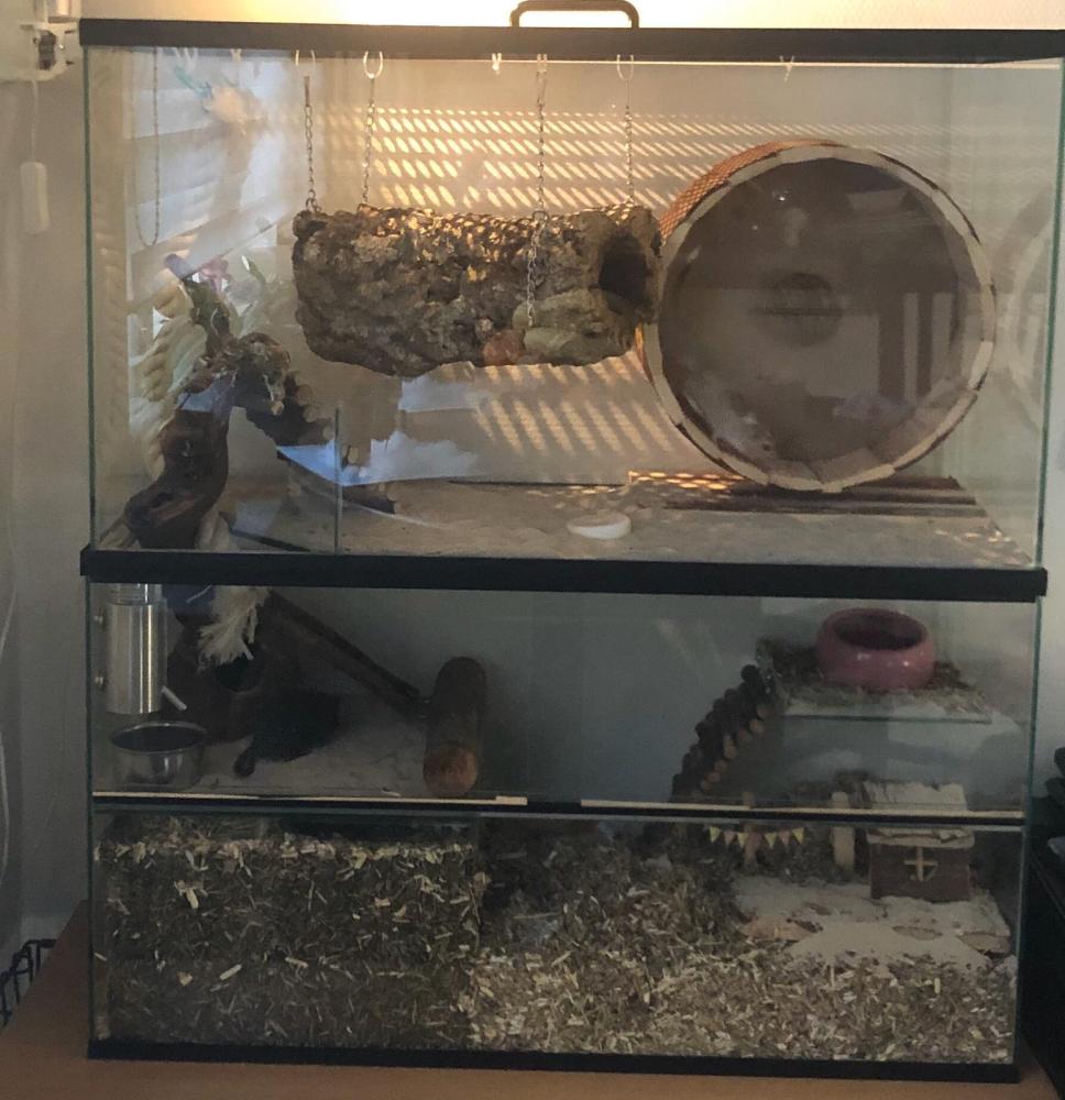 Opzetstuk Gerbilarium 75x30