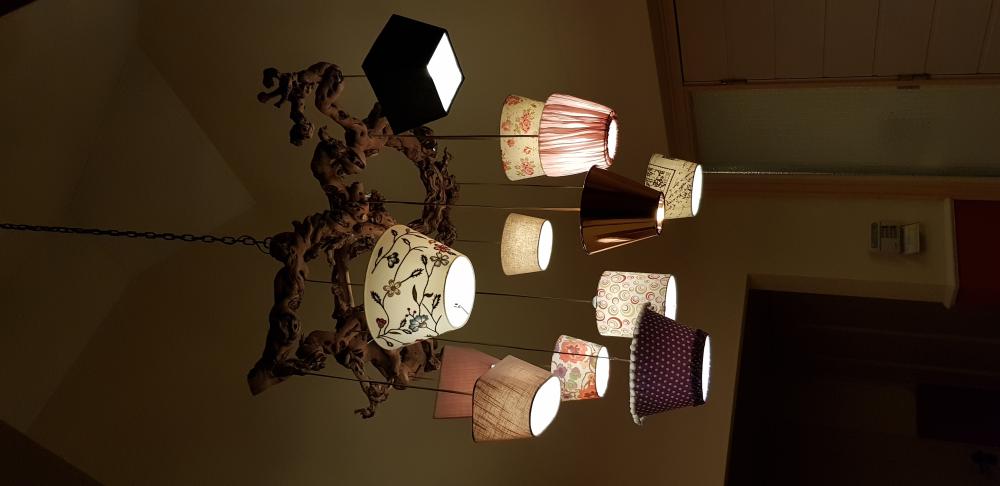 Lampen van behandelde wijnranken