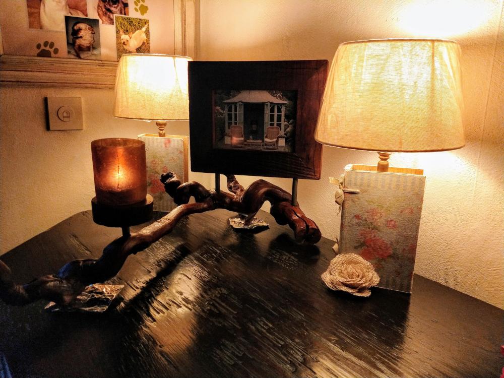 Lampen van behandelde wijnranken