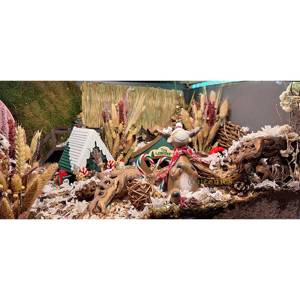 Winterscape met Eland