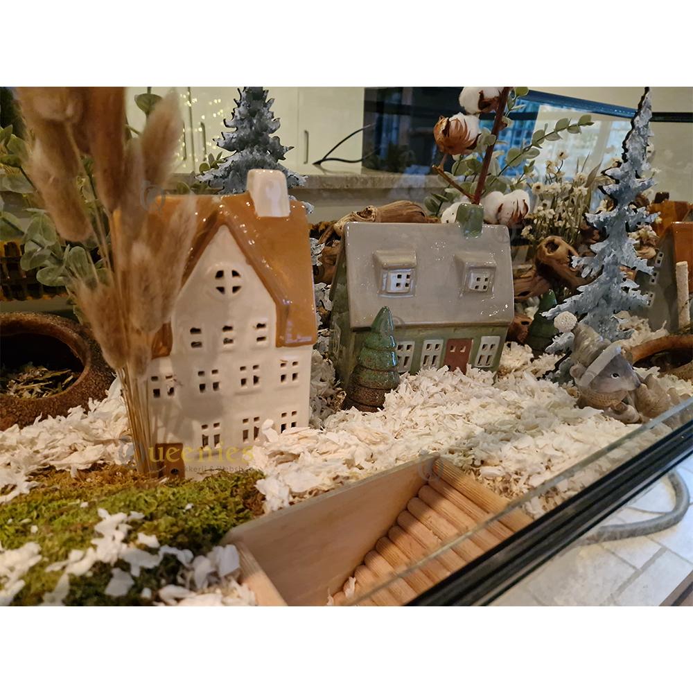 Hazenstaart in Kerstscape