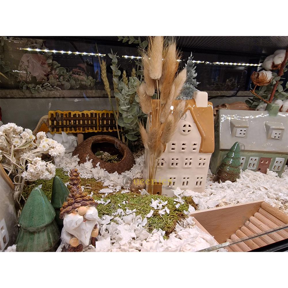 Hazenstaart gebruiken in Hamsterscape Terrarium
