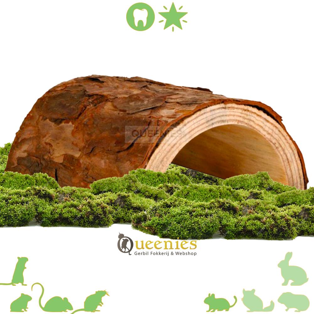 tunnel voor knaagdieren en reptielen