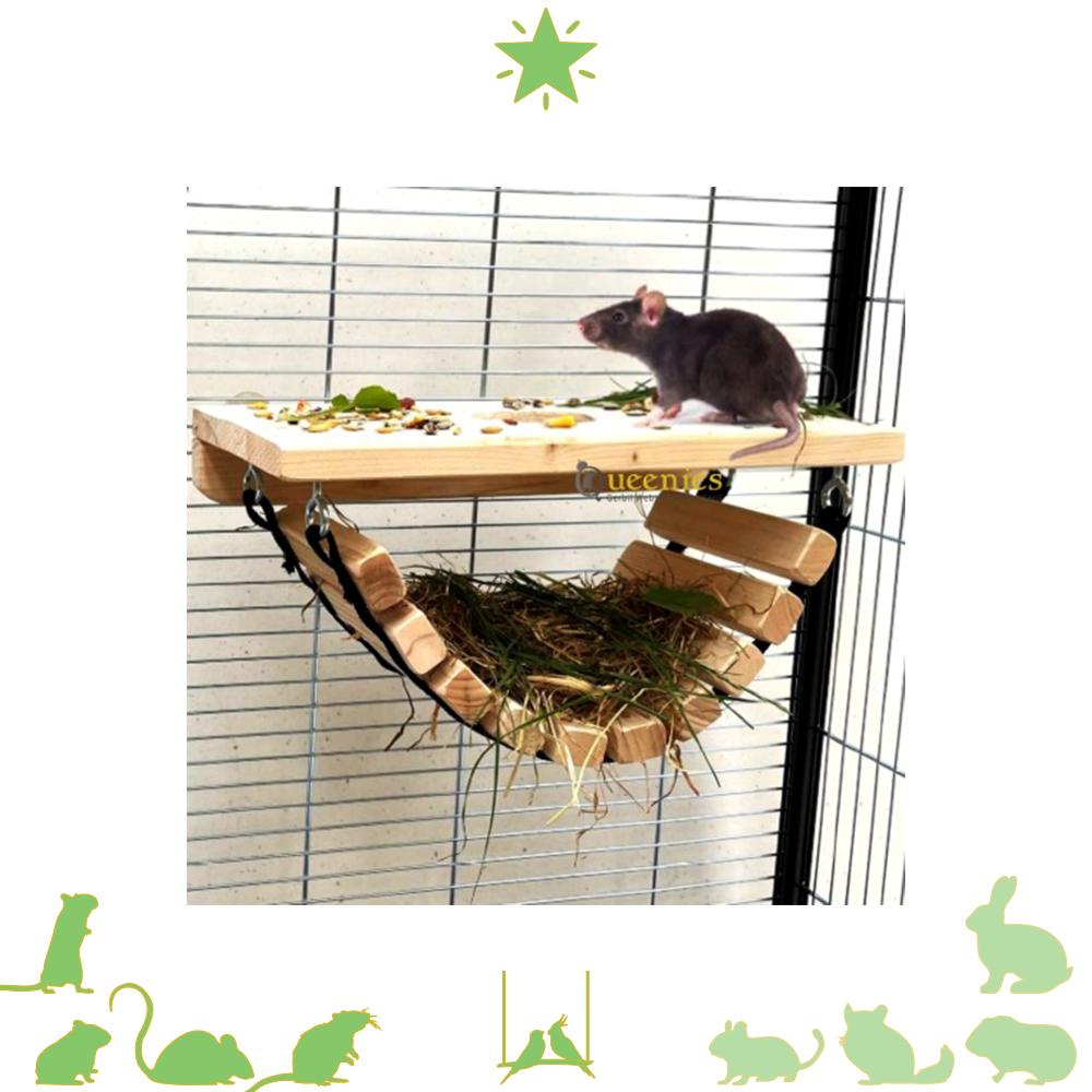 Hangbrug voor knaagdieren